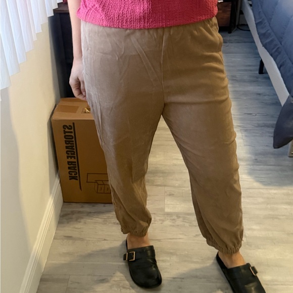 Zara Tan Jogger Pants - Picture 6 of 7